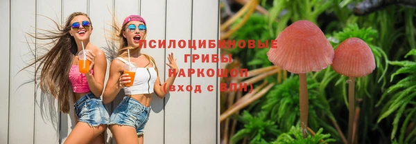 герыч Новодвинск