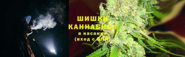 дмт Нягань