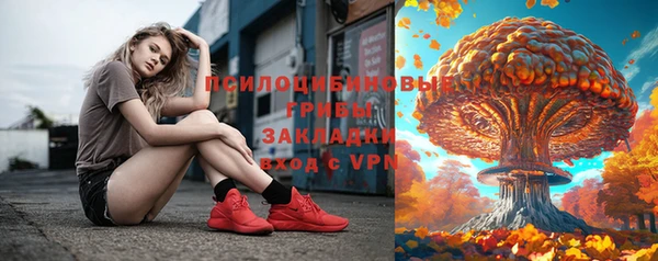 дмт Нягань
