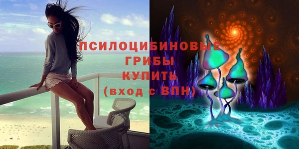 a pvp Няндома