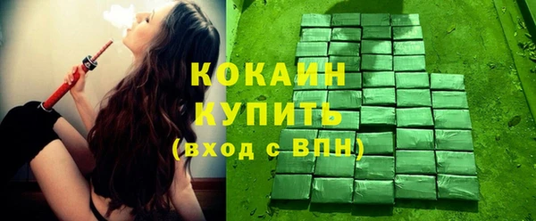 мдпв Новозыбков