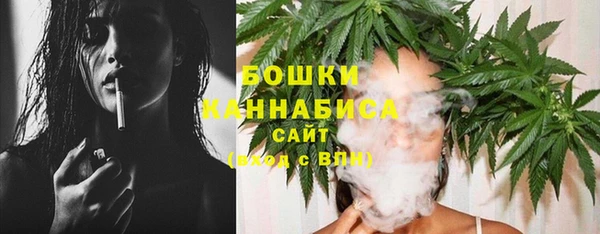 дмт Нягань