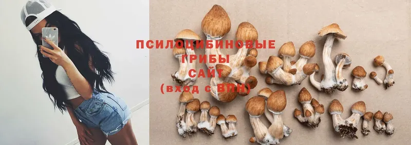 нарко площадка телеграм  Аткарск  Псилоцибиновые грибы Magic Shrooms 