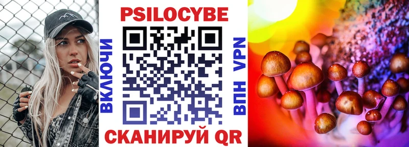 Псилоцибиновые грибы Psilocybe  магазин продажи   Аткарск 